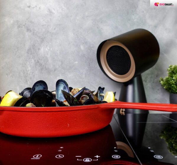 Mini cappa e piastra ad induzione portatili: la combinazione perfetta!