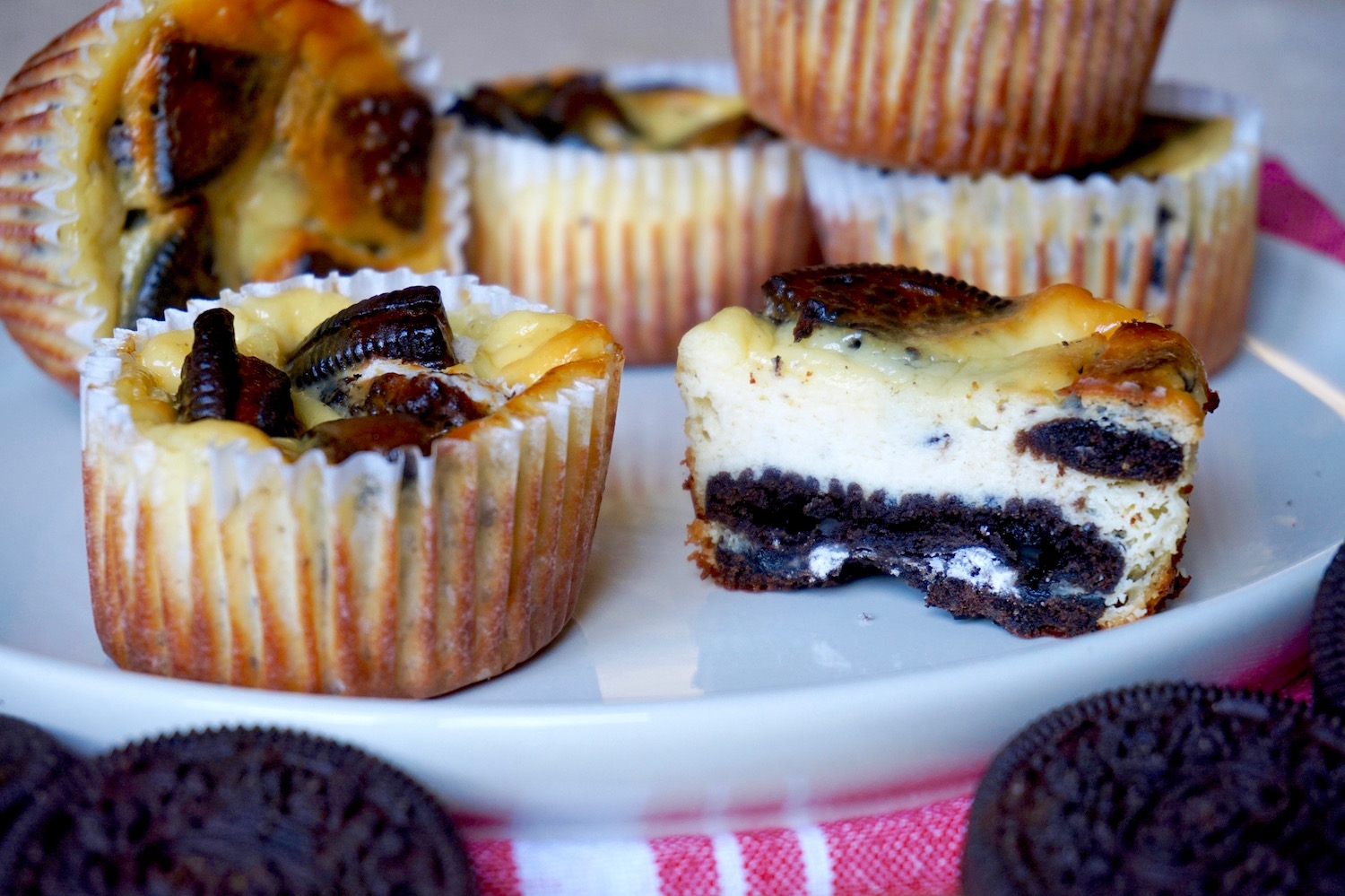 Mini oreo cheesecake