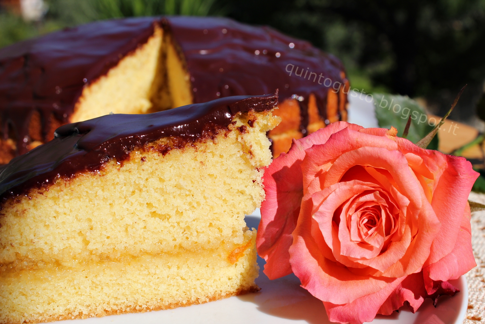 Molly cake arancia e cioccolato