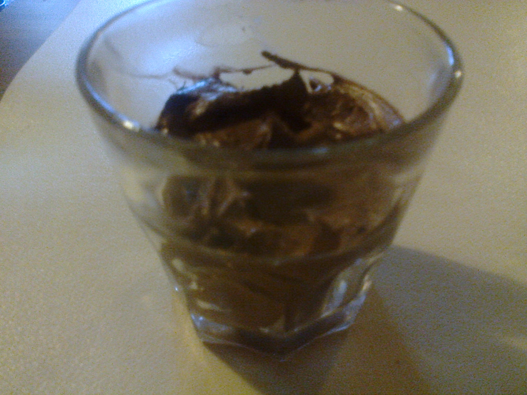 Mousse al cioccolato