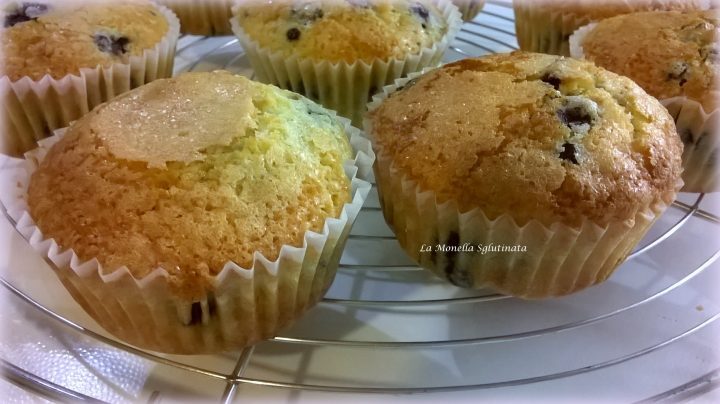 Muffin ai mirtilli della monella senza glutine
