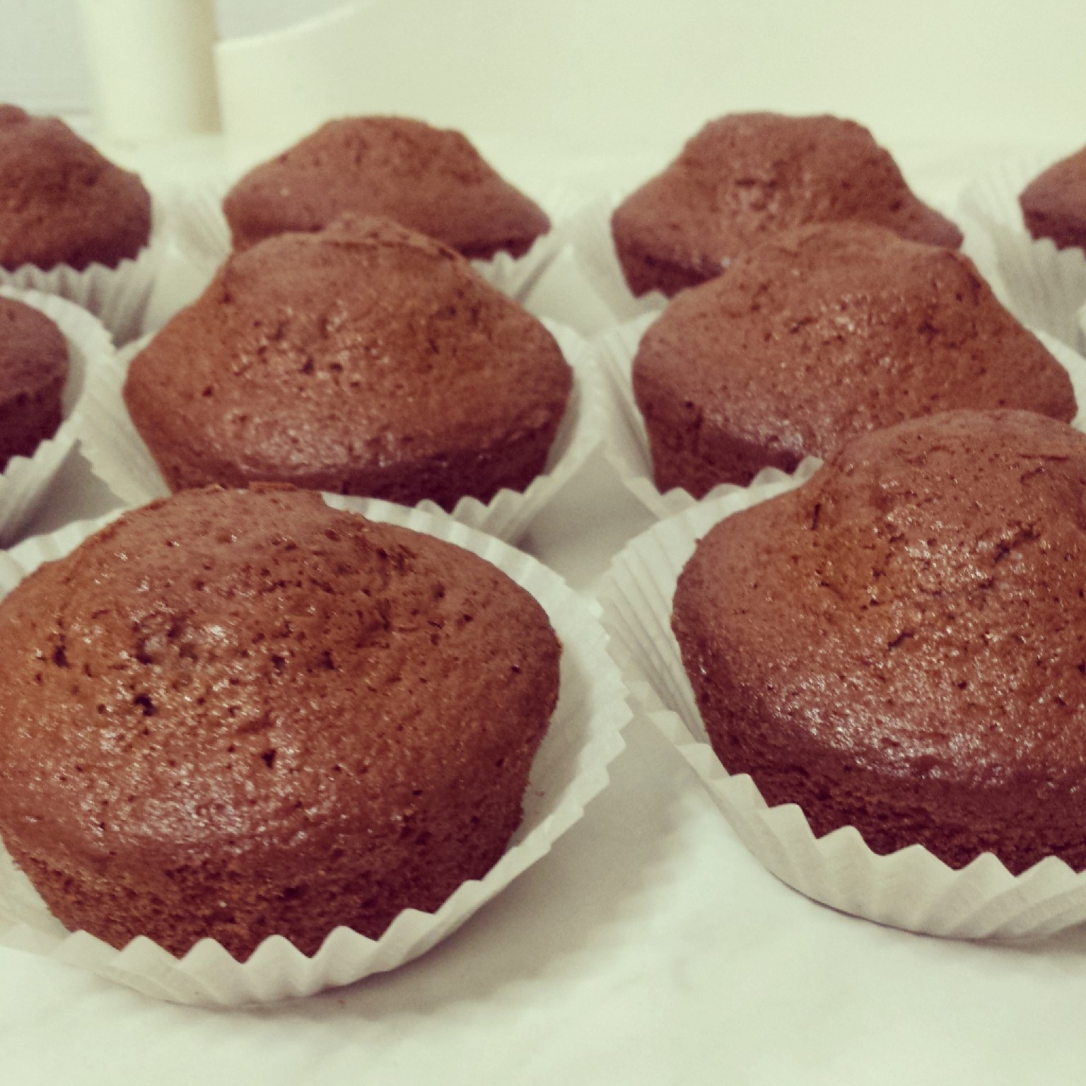 Muffin al cioccolato
