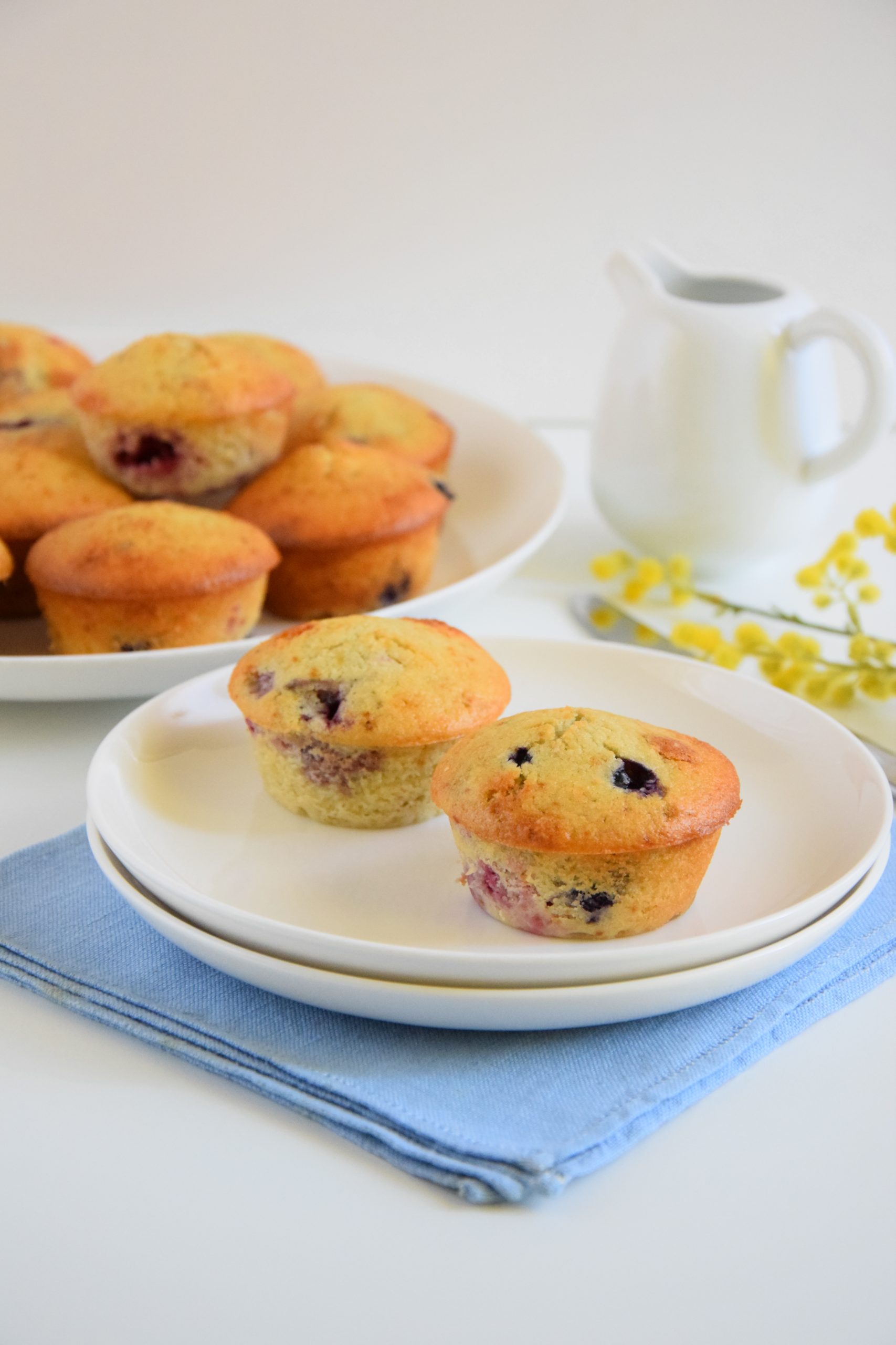 Muffin al cocco e frutti di bosco