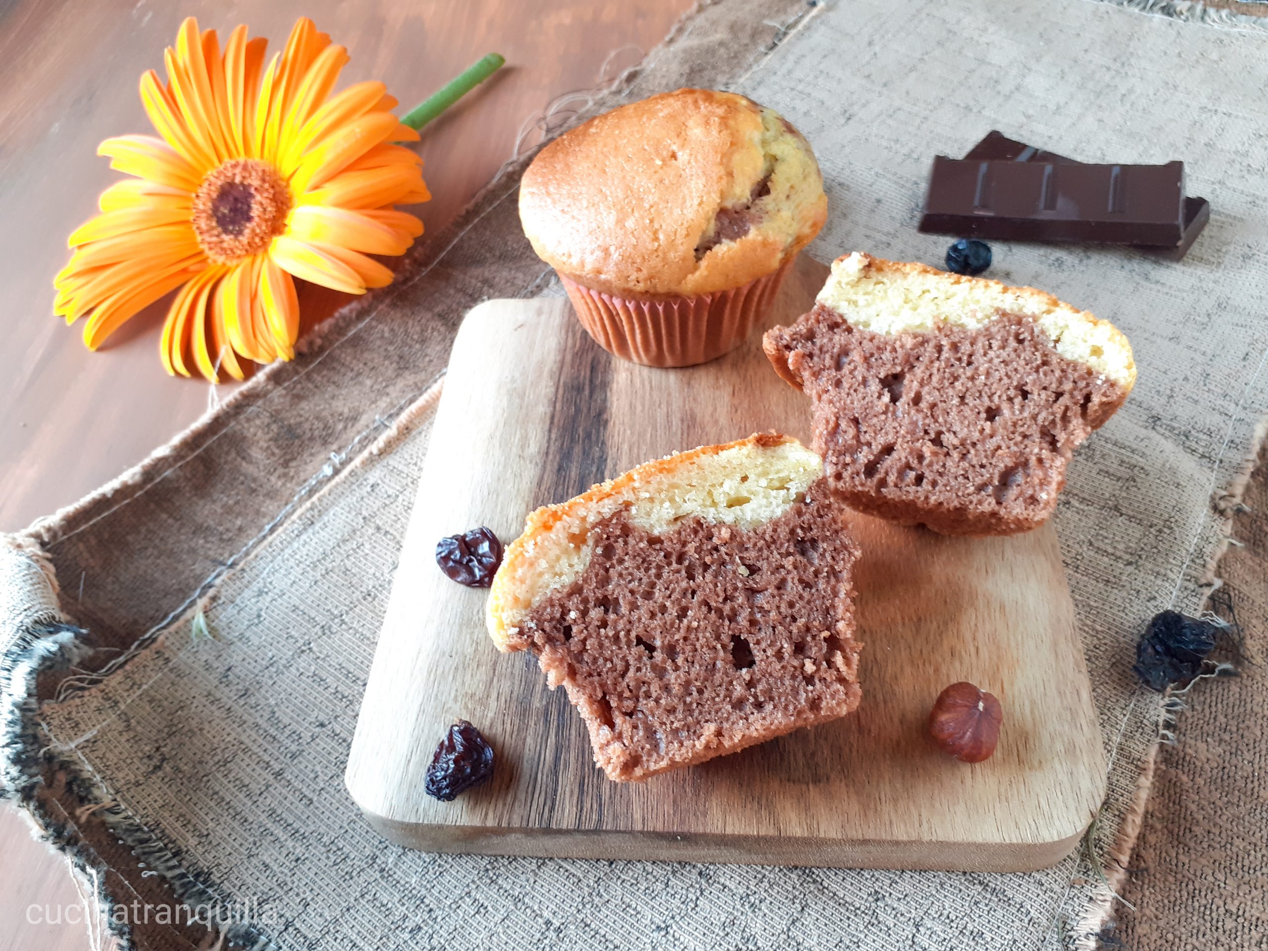 Muffin bicolore