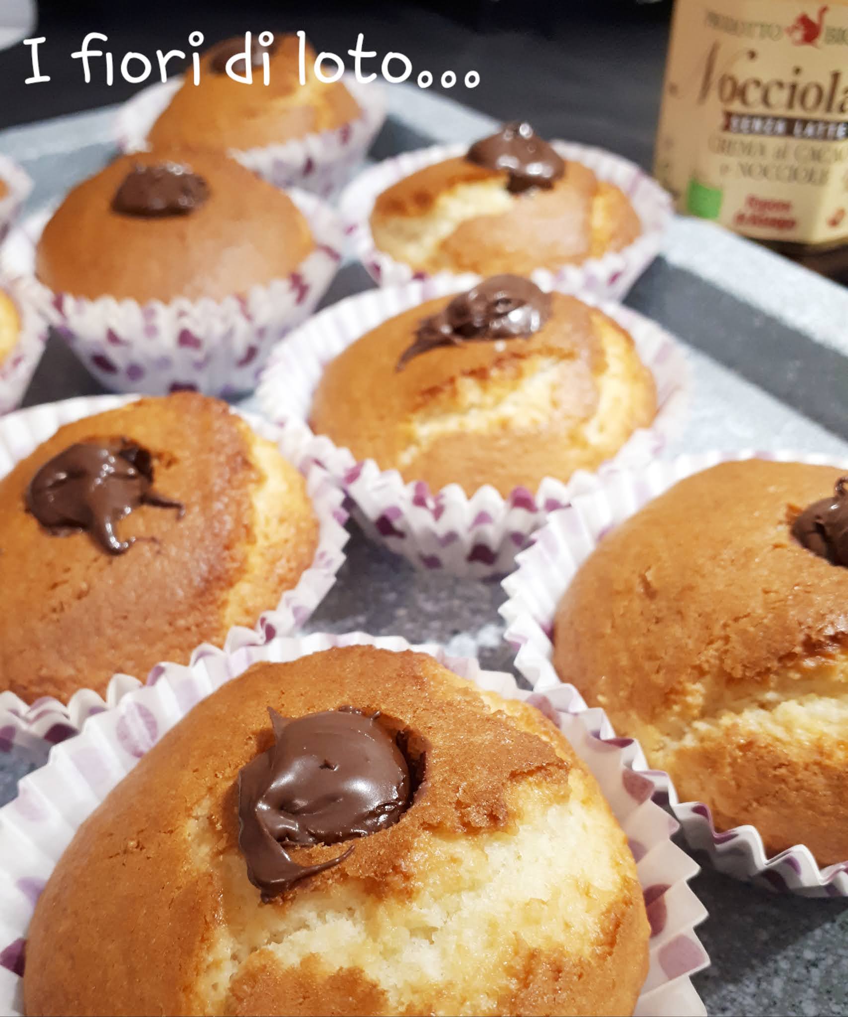 Muffin cocco e cioccolata