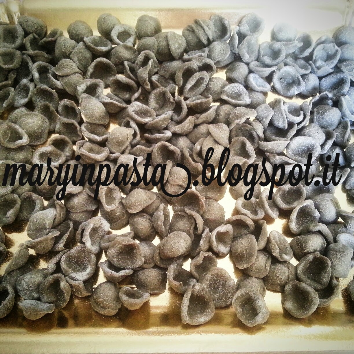 Orecchiette di grano arso con cuore di stracciatella pugliese e gelée di salsa al basilico