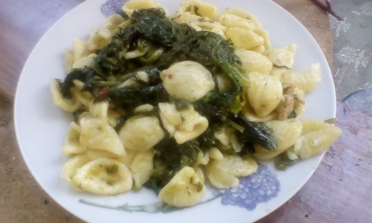 Orecchiette pugliesi con friarielli napoletani