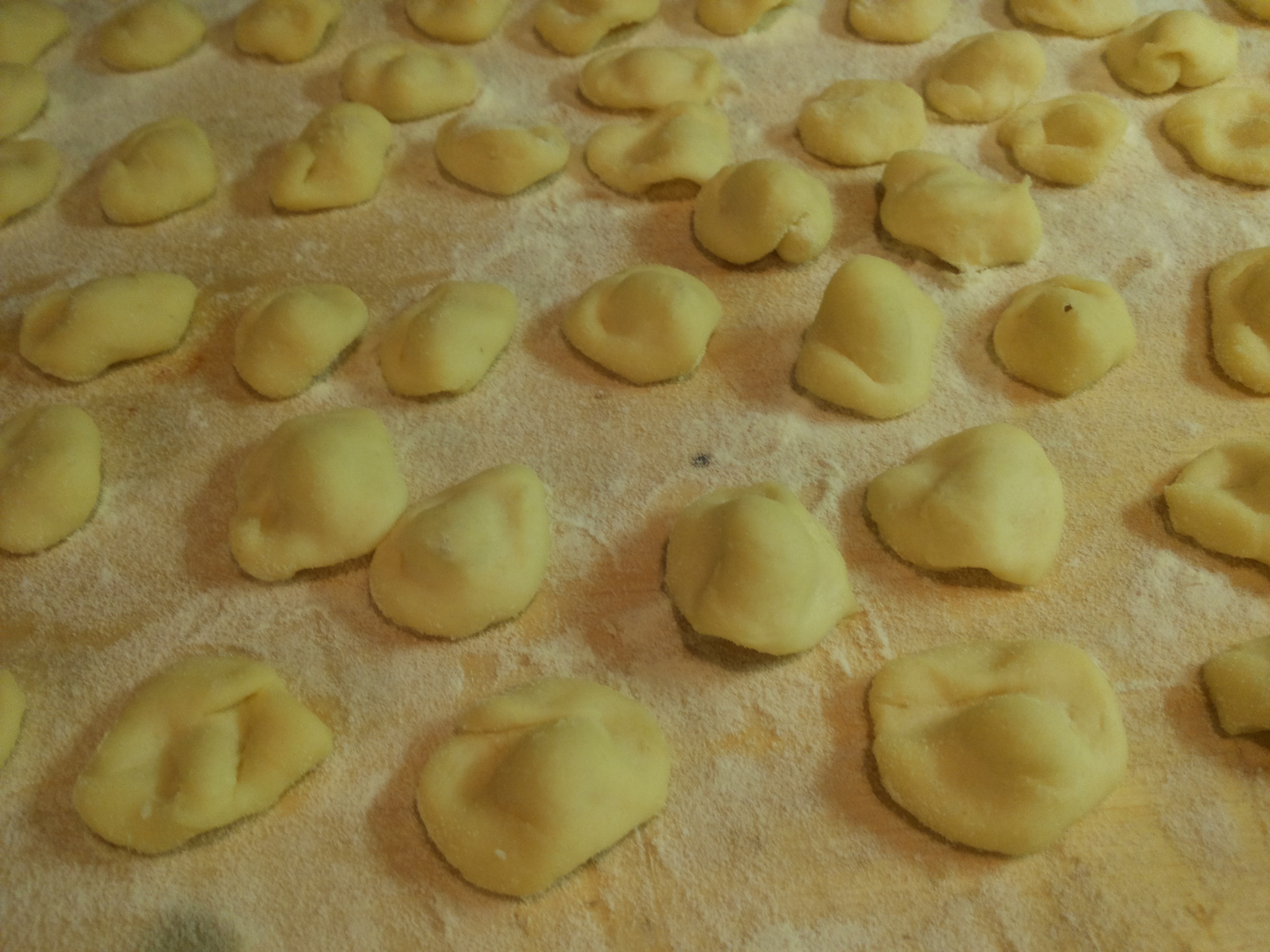 Orecchiette (ricetta base)