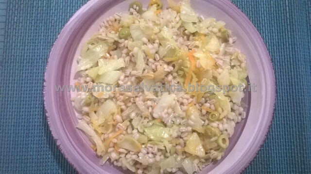 Orzo con cavolo cappuccio, carote ed olive