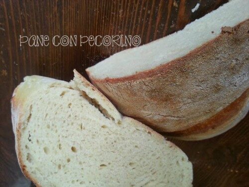 Pagnotta con pecorino