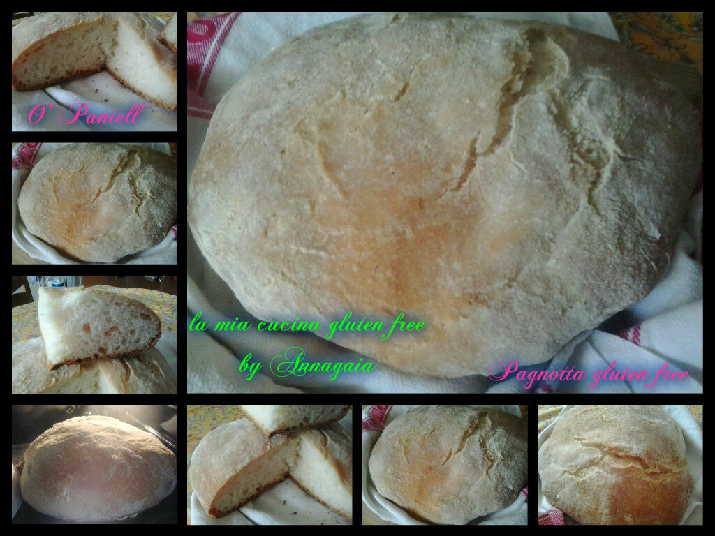 Pagnotta gluten free con lievito madre (o’ paniell)