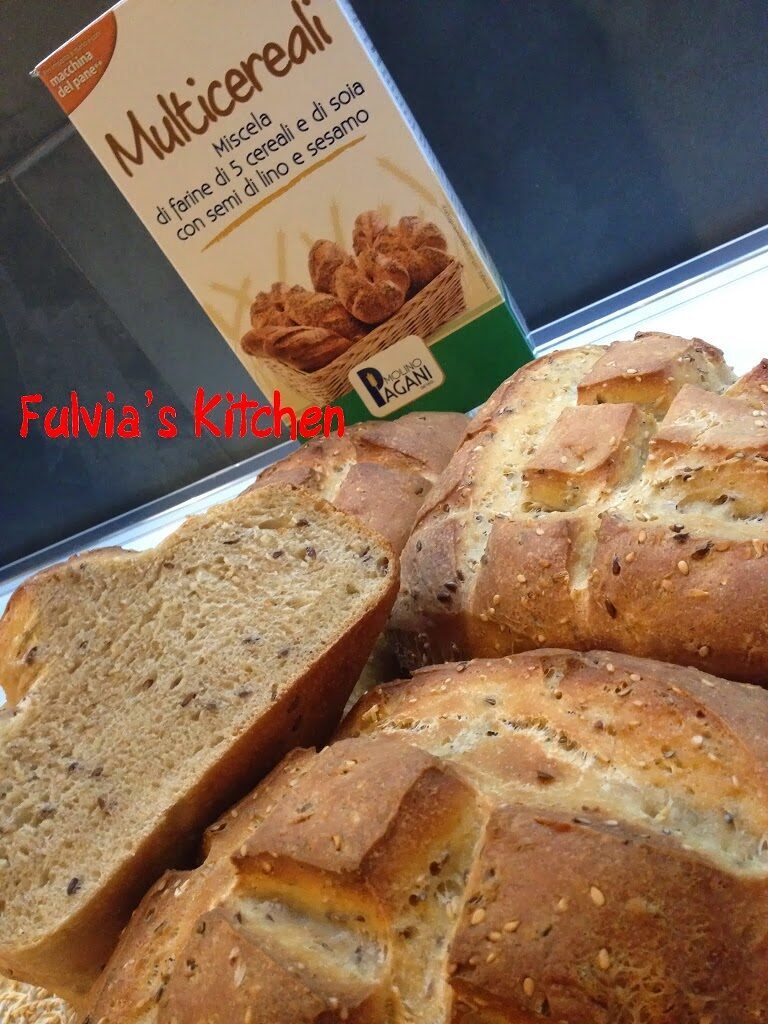 Pagnotte con pasta madre e miscela multicereali molino pagani