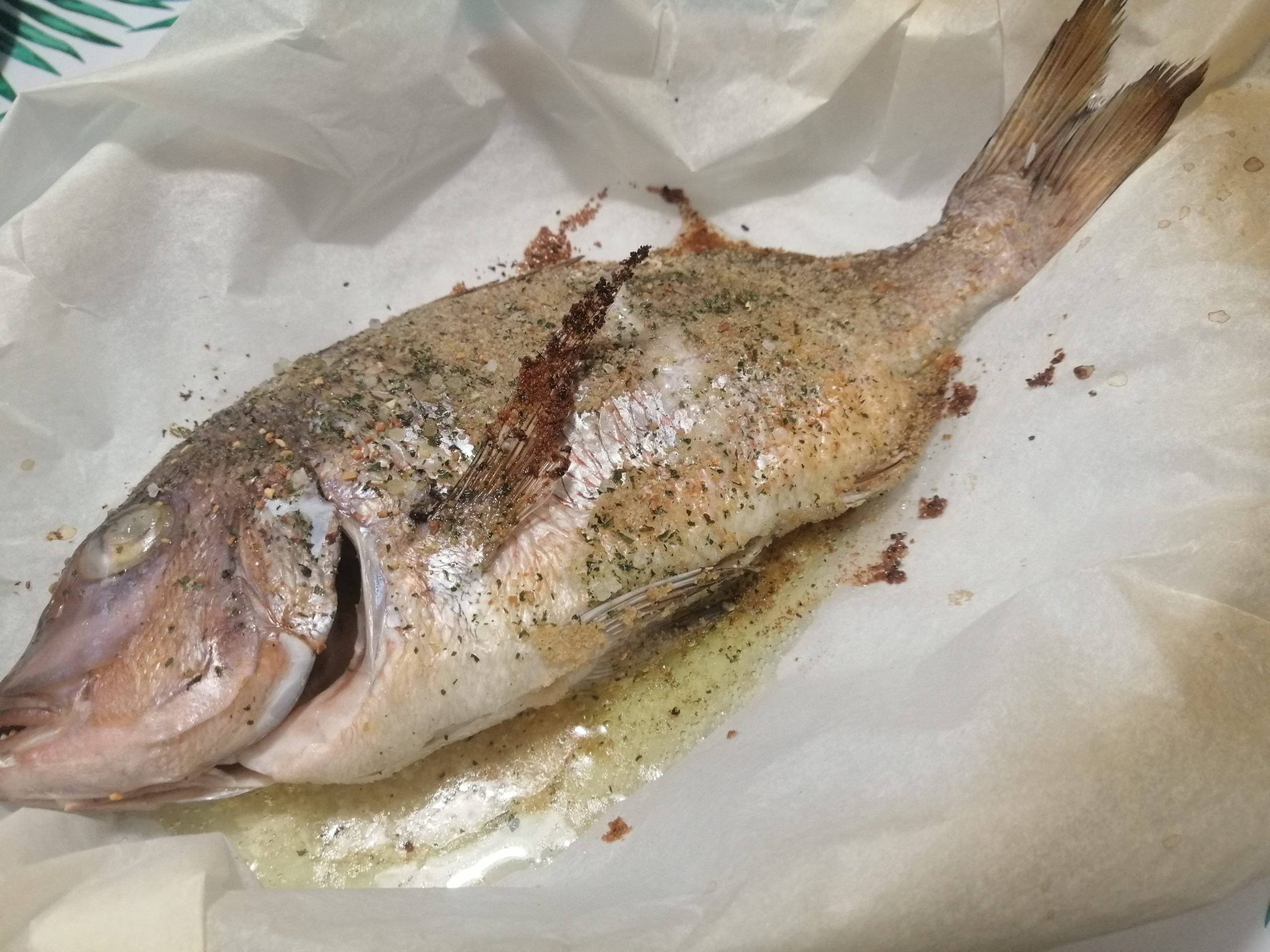 Pagro al forno