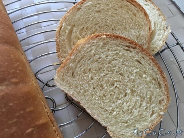 Pan bauletto con olio extravergine di oliva fatto con companion moulinex