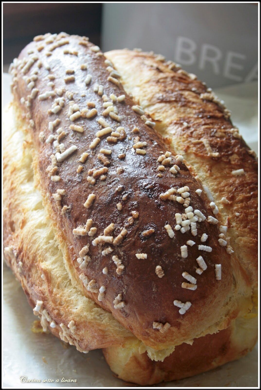 Pan brioche
