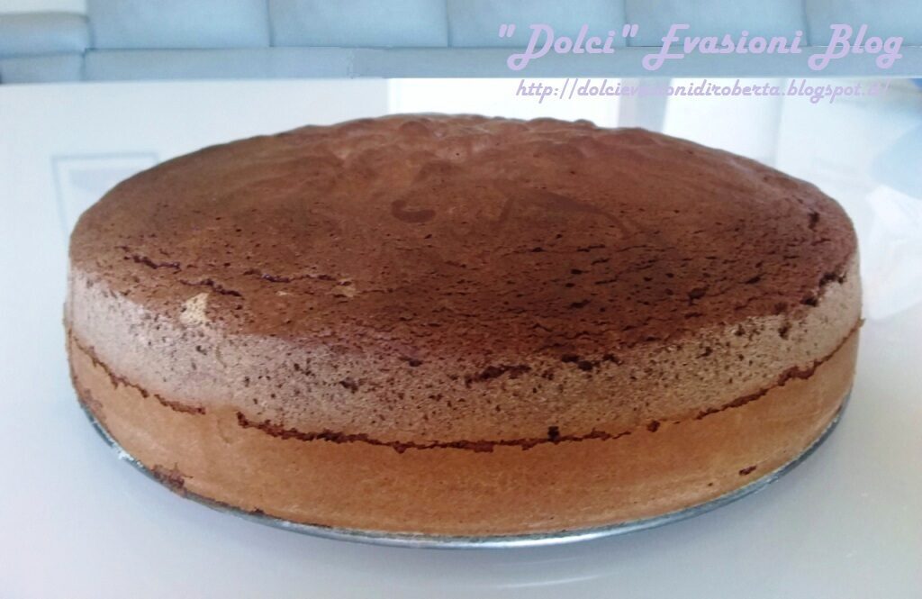 Pan di spagna al cacao di ernst knam