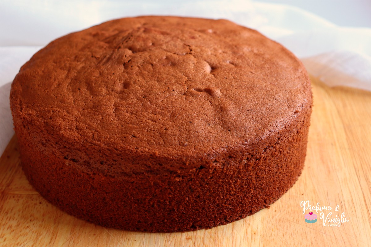 Pan di spagna al cacao