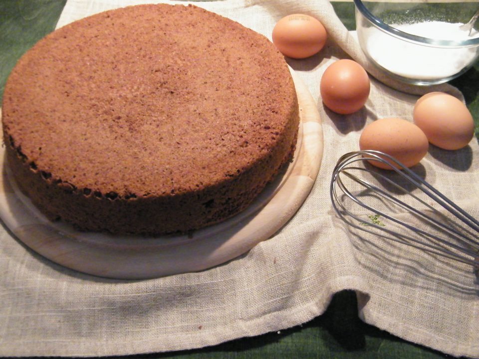 Pan di spagna al cacao