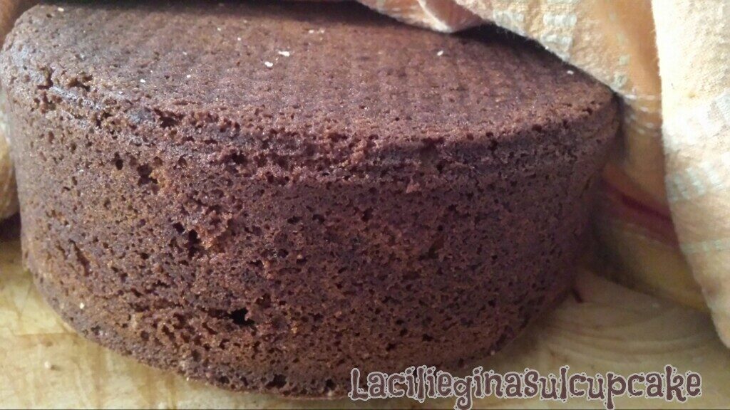 Pan di spagna al cacao