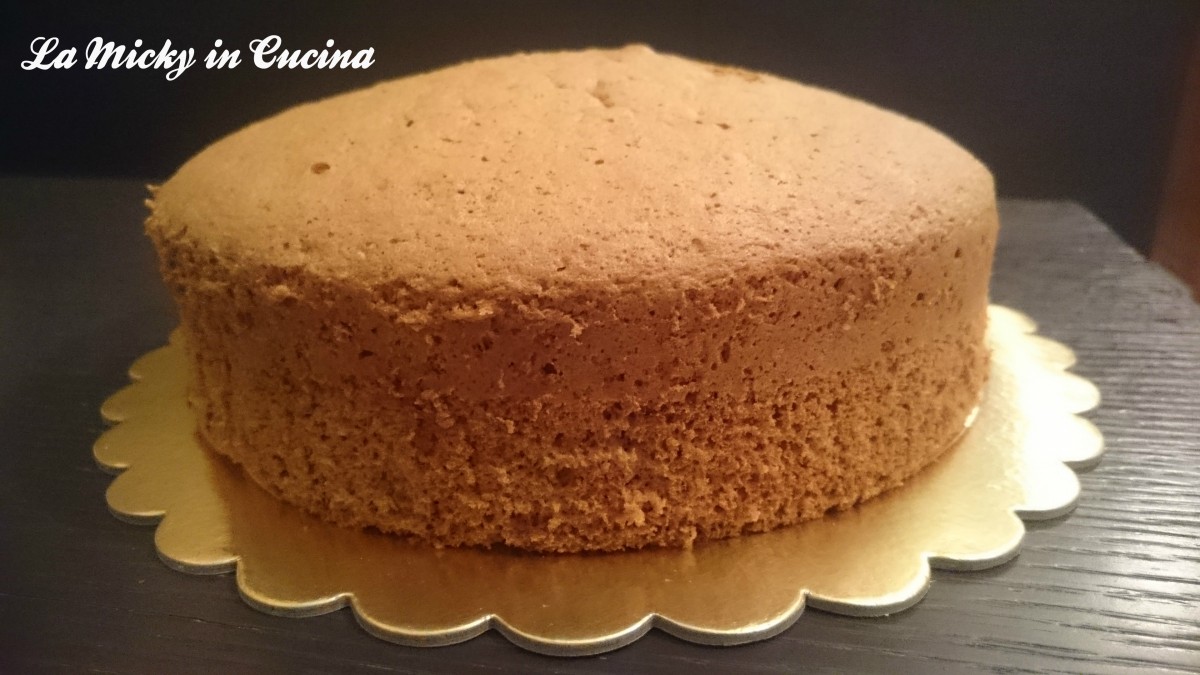 Pan di Spagna al cacao