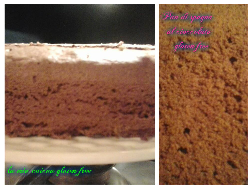Pan di spagna al cioccolato gluten free