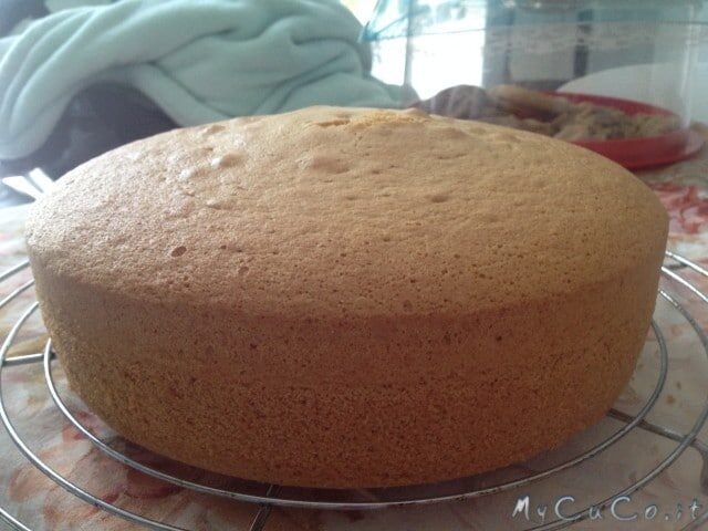 Pan di spagna col cuisine companion