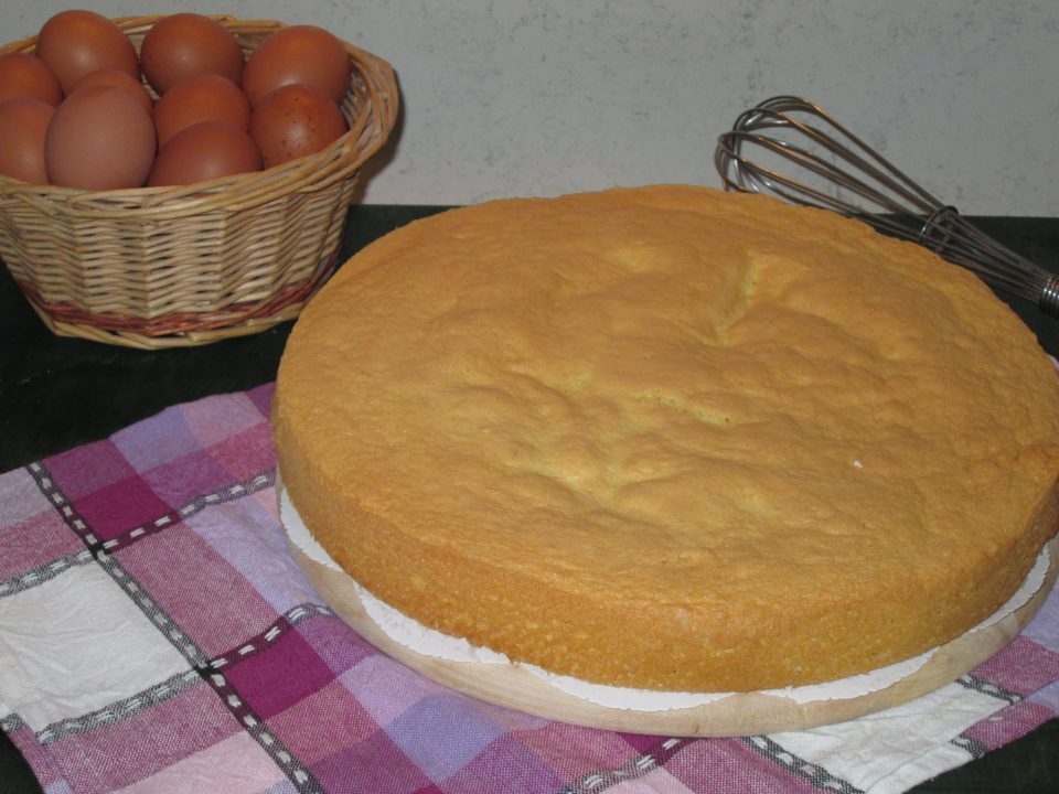 Pan di spagna