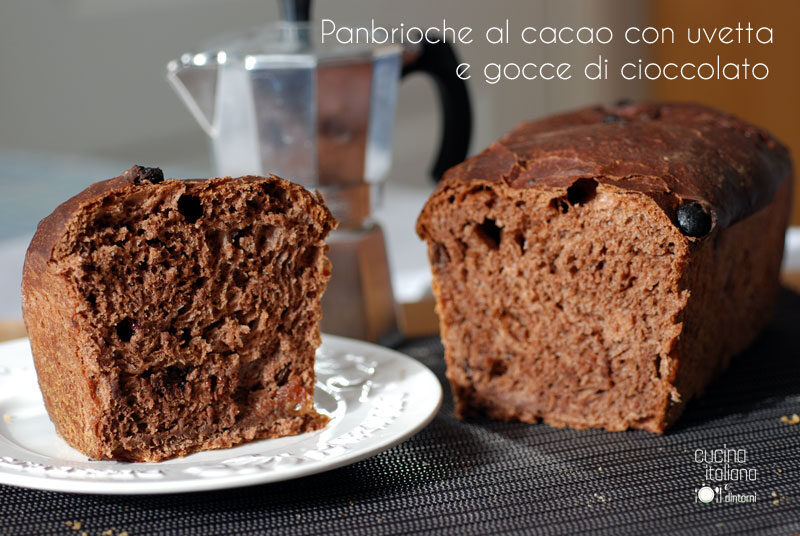 Panbrioche al cioccolato senza latte e senza uova