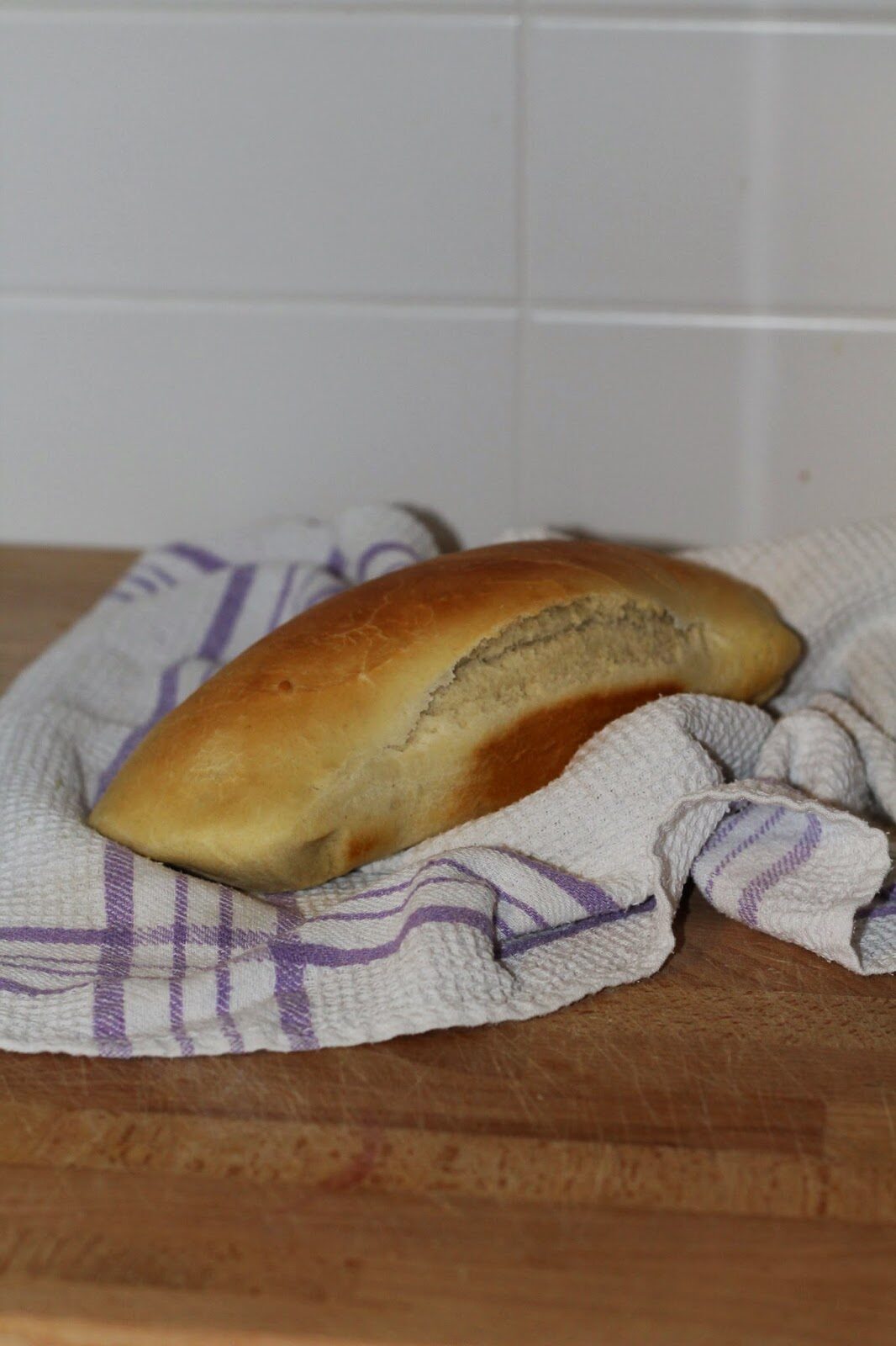 Pane ai semi prova1