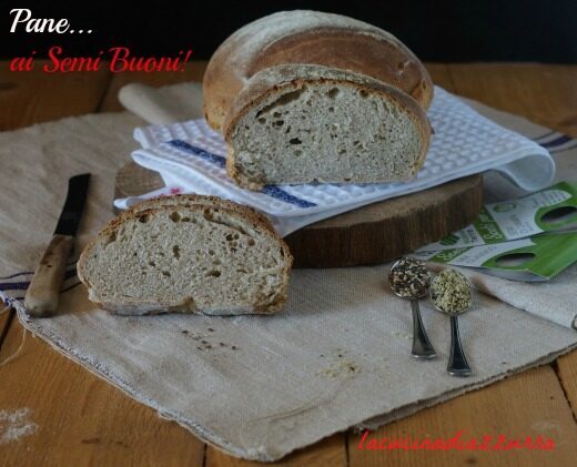 Pane ai semi…buoni!!!