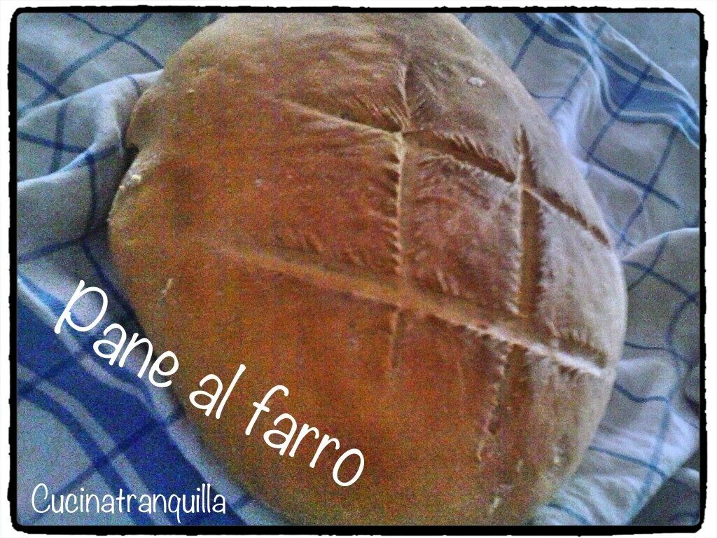 PANE AL FARRO