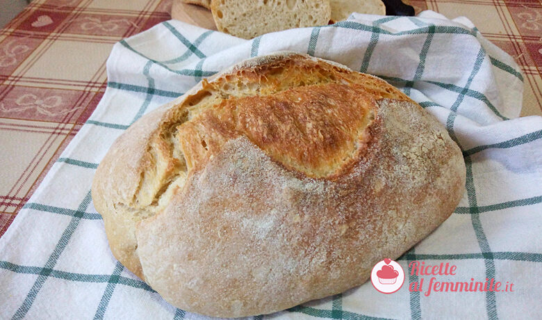 Pane al grano duro cappelli con lievito madre