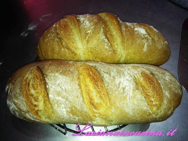 Pane alla camomilla