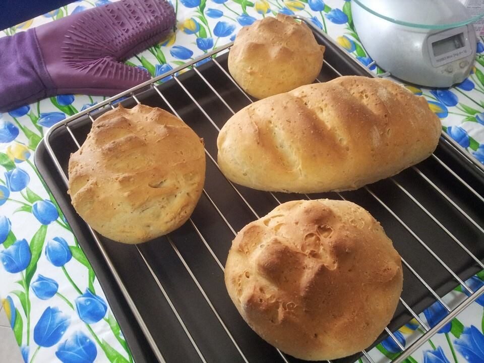 Pane alle nocciole