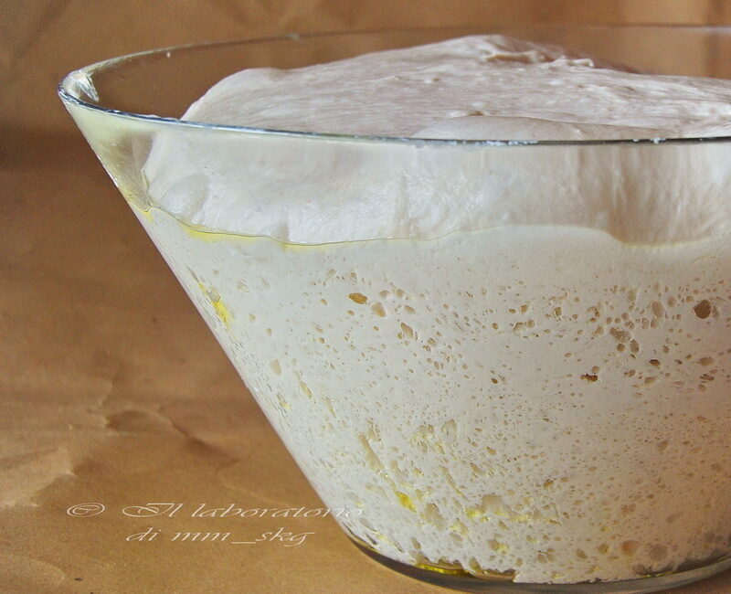 Pane bucoso con lievito madre