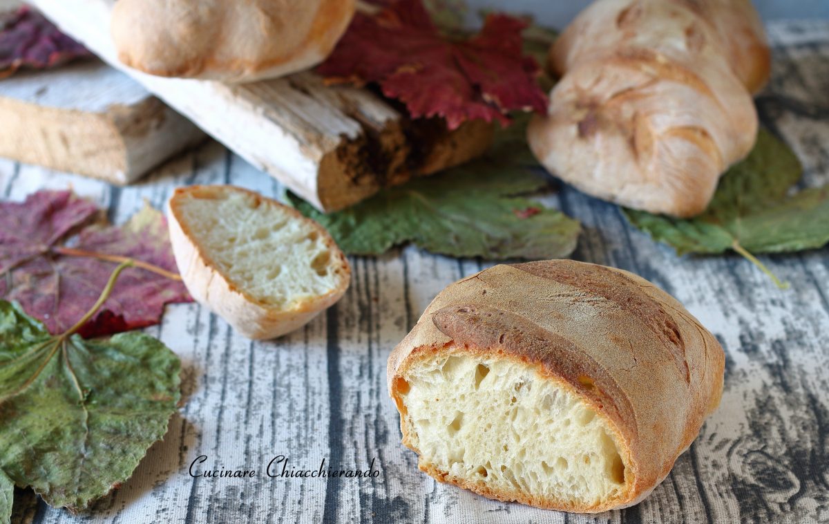 Pane con poco lievito di birra: solo 1grammo!