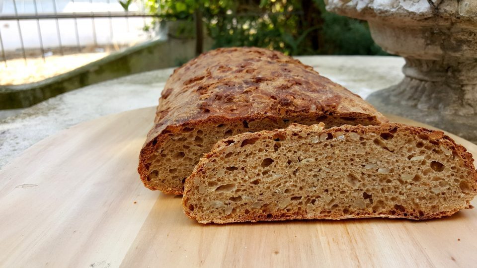 Pane di girasole