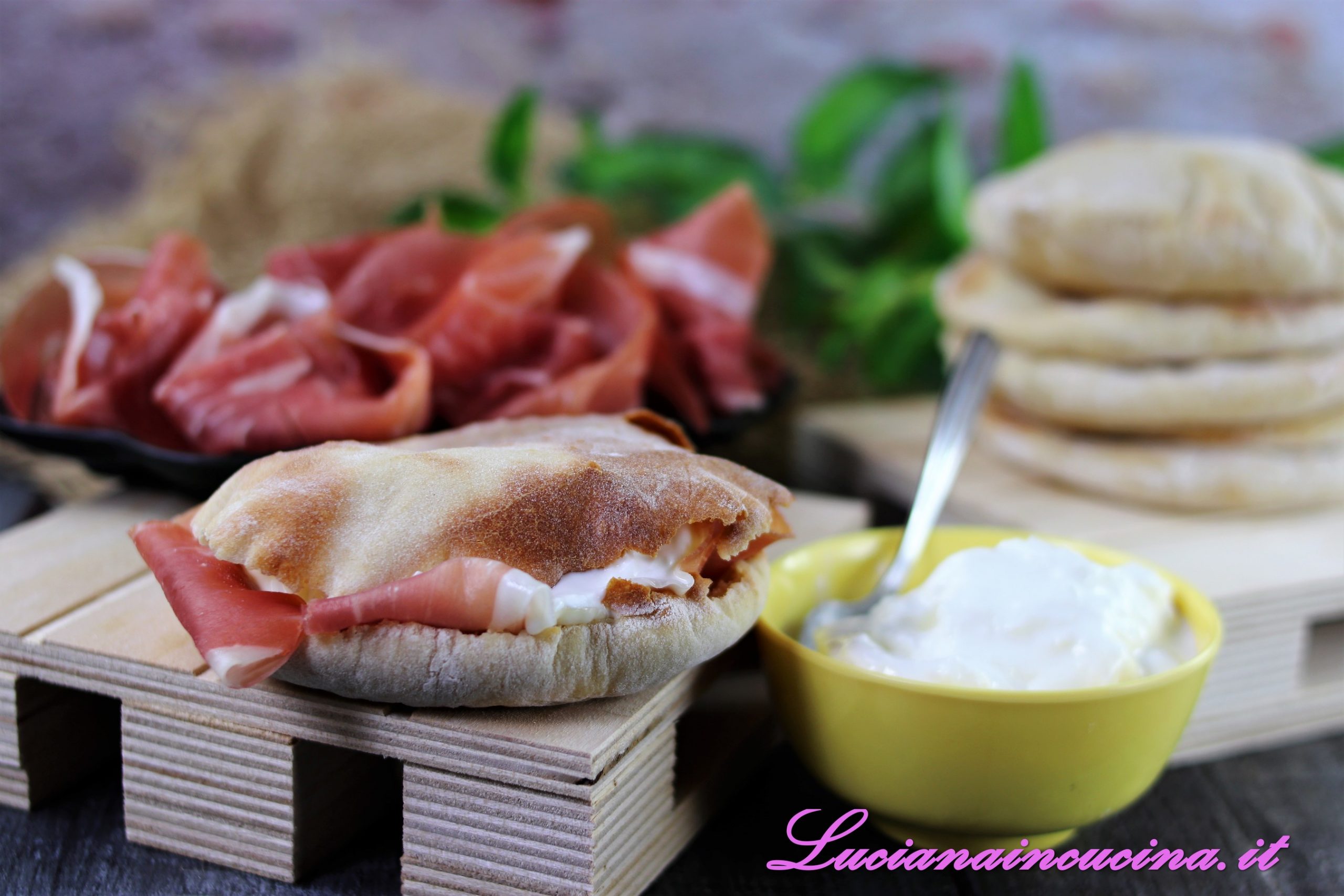Pane naan indiano