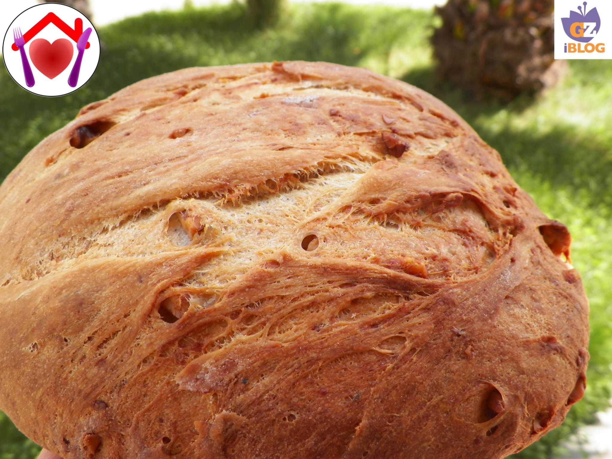 Pane nociato
