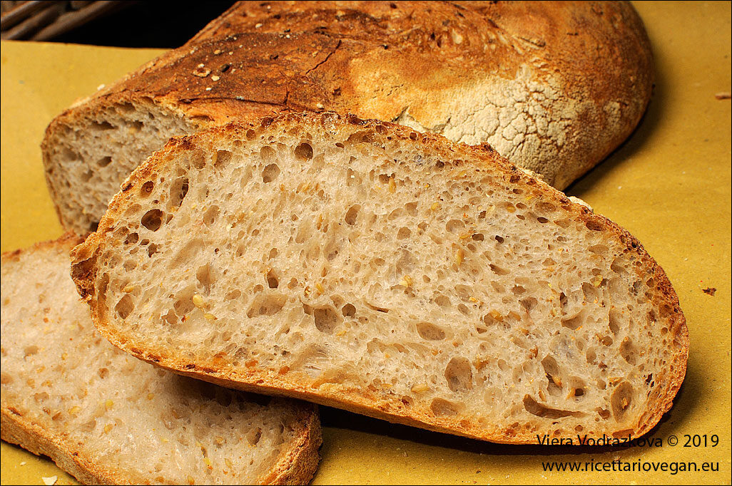 Pane probiotico con pasta madre e optiliq