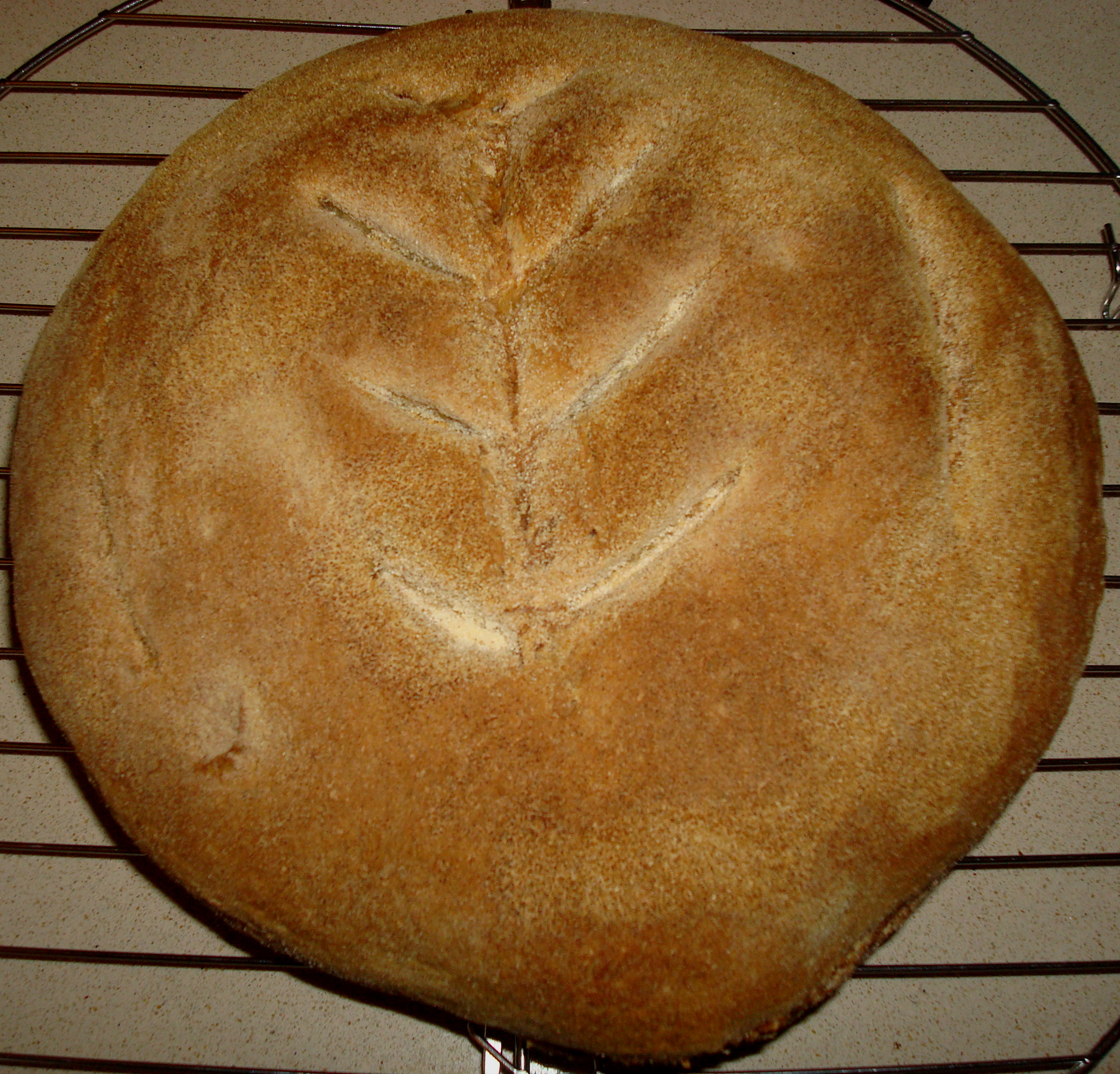 Pane quotidiano con lievito madre