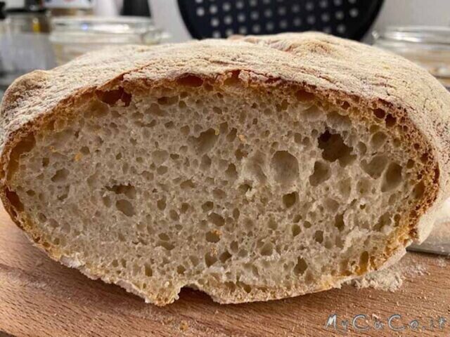 Pane semplice con farina 00, a prova di principiante – Impastato con il Companion Moulinex