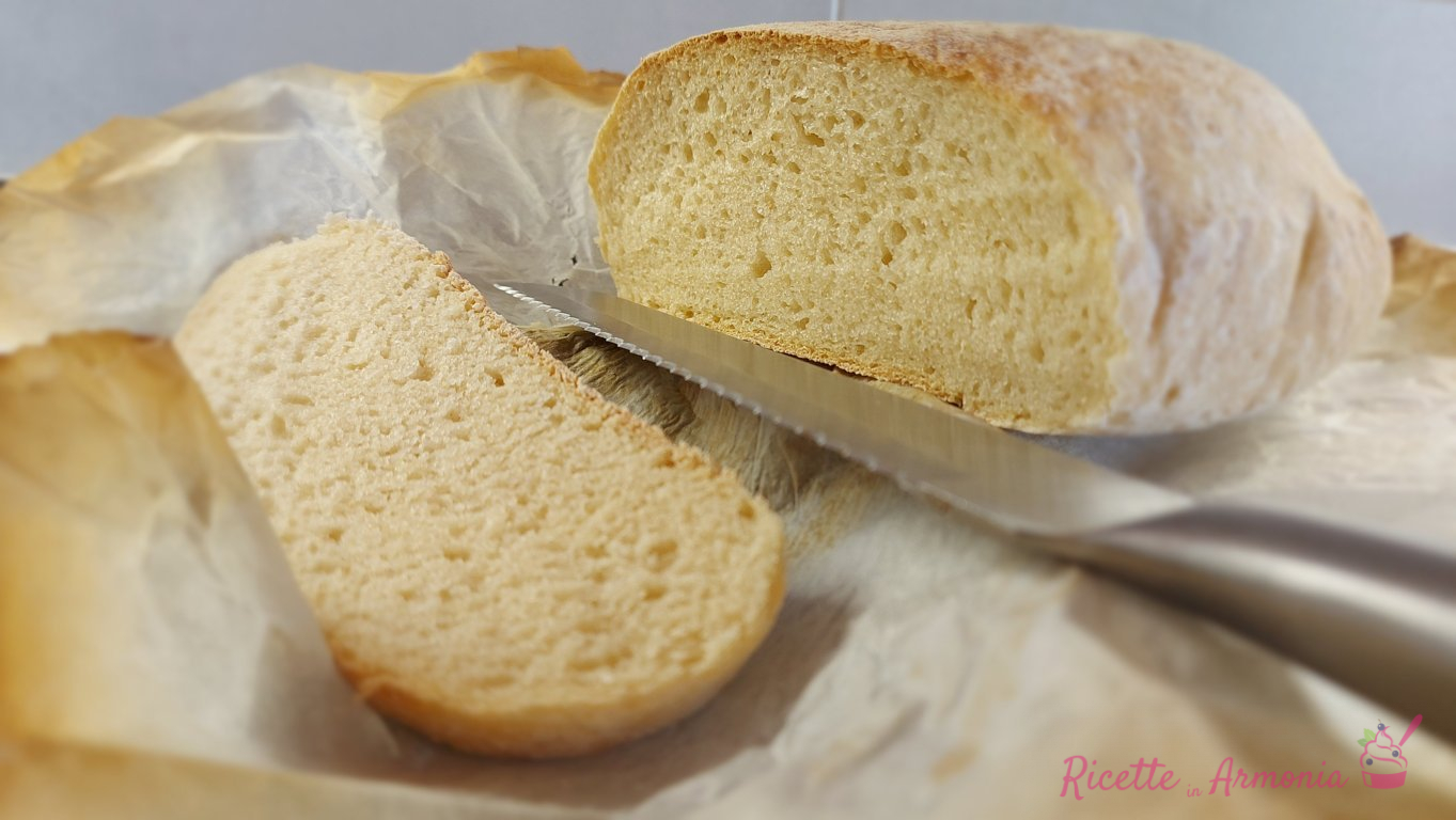 Pane senza glutine e lievito