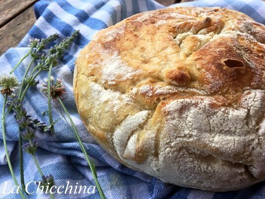 Pane senza impasto o no knead bread (di jim lahey)