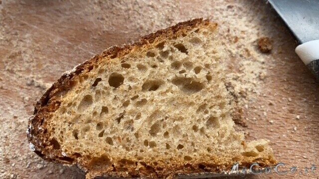 Pane senza lievito impastato col companion moulinex
