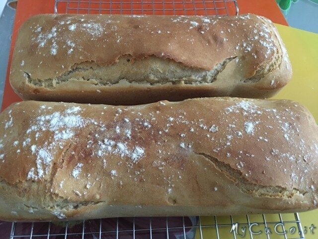 Pane senza lievito, tramite autolisi della farina, fatto con il cuisine e i-companion moulinex