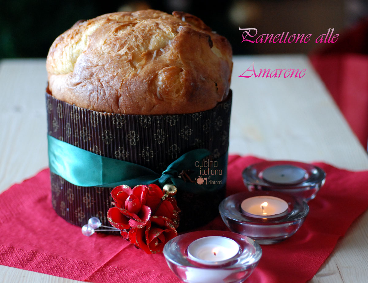 Panettone alle amarene, ricetta con lievito madre