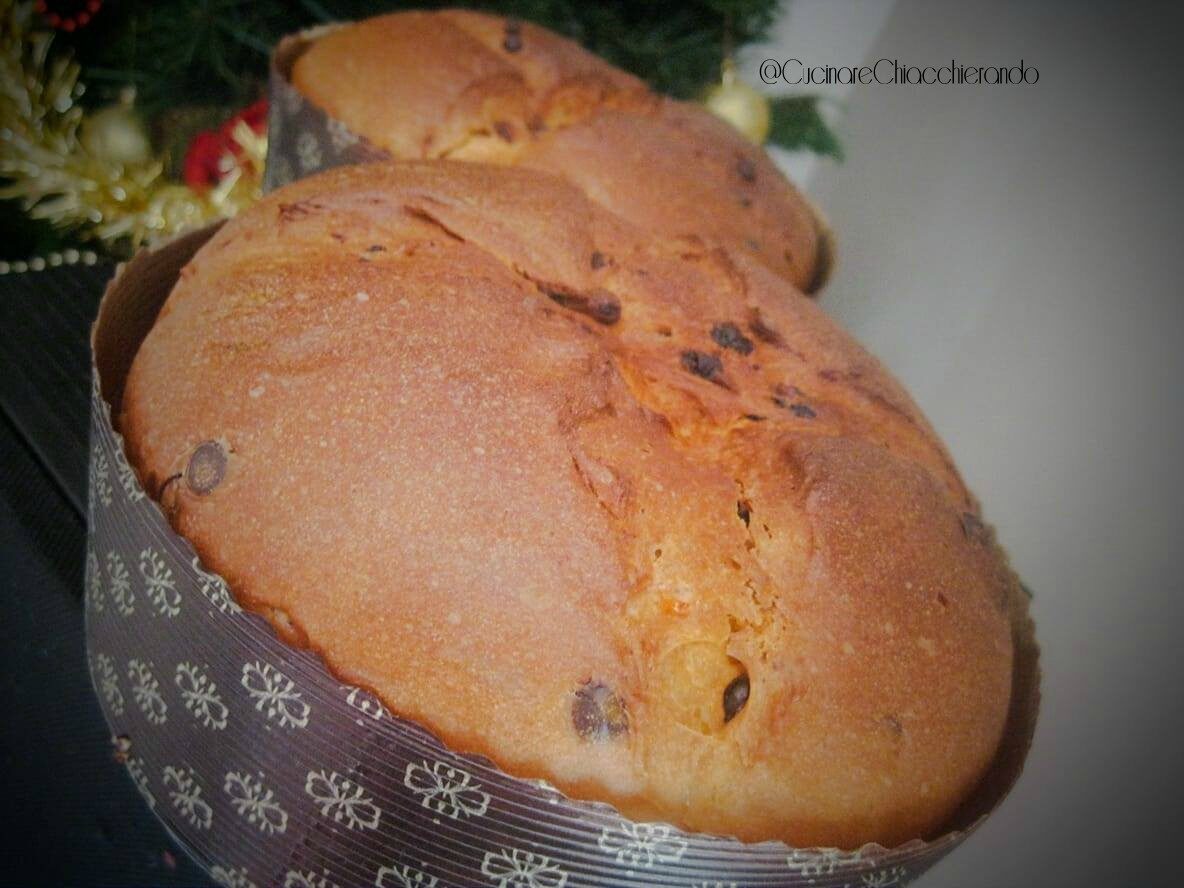 Panettone fatto in casa ricetta L. Di Carlo