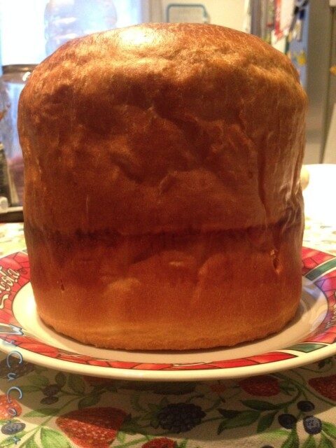 Panettone gastronomico con cuisine companion