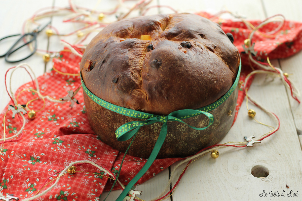 Panettone, il mio primo impasto per Natale
